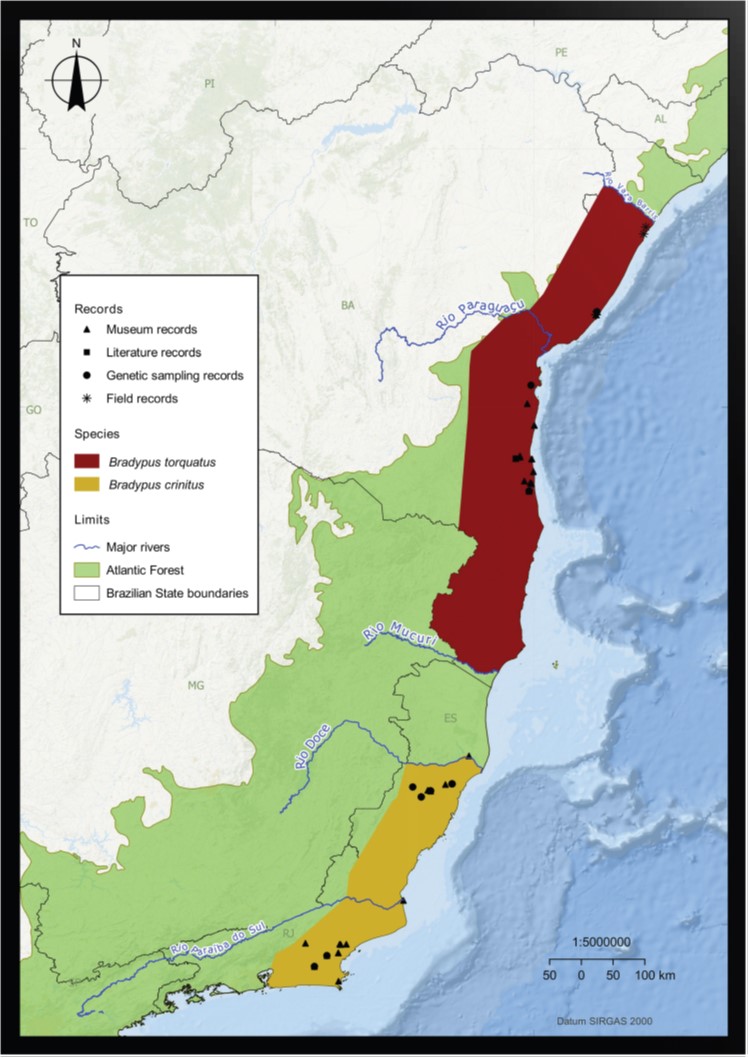 Distribuição geográfica das preguiças, Bradypus torquatus e Bradypus crinitus na Mata Atlântica brasileira