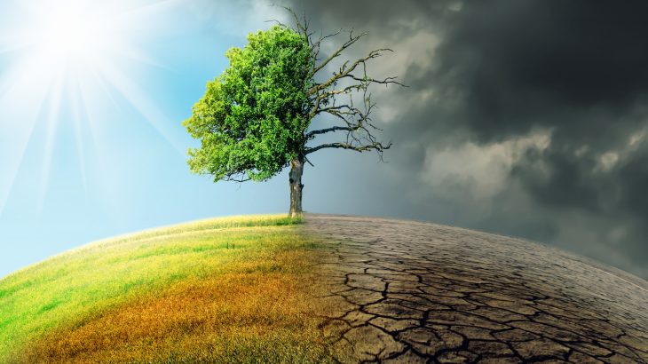 Mudanças climáticas e meio ambiente.https://portales.sre.gob.mx/dgvosc/acciones/temas-globales/60-medio-ambiente-y-cambio-climatico